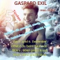 Preview: GASPARD EXIL 100 ml Herren (high concentrate) H362